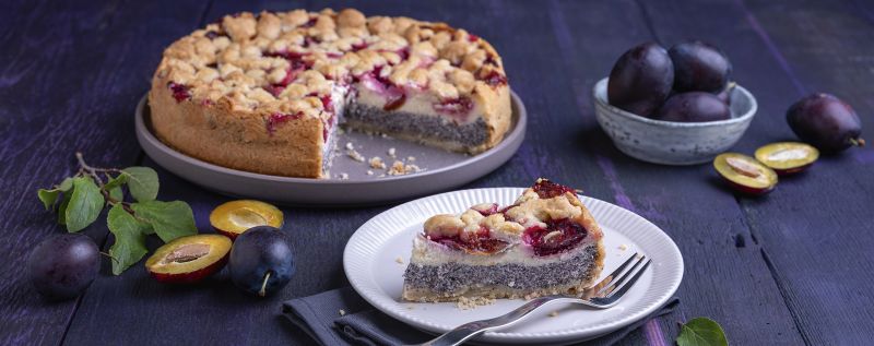 5 24 Kaese Mohn Kuchen Mit Zwetschgen Und Streuseln 1920x760px 48b01ebb
