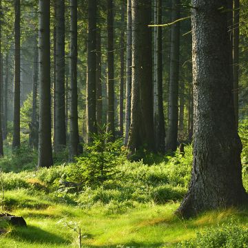 Koestlich Vegetarisch Kochmagazin 7 Gruende 7 800x800px 5fa68d61