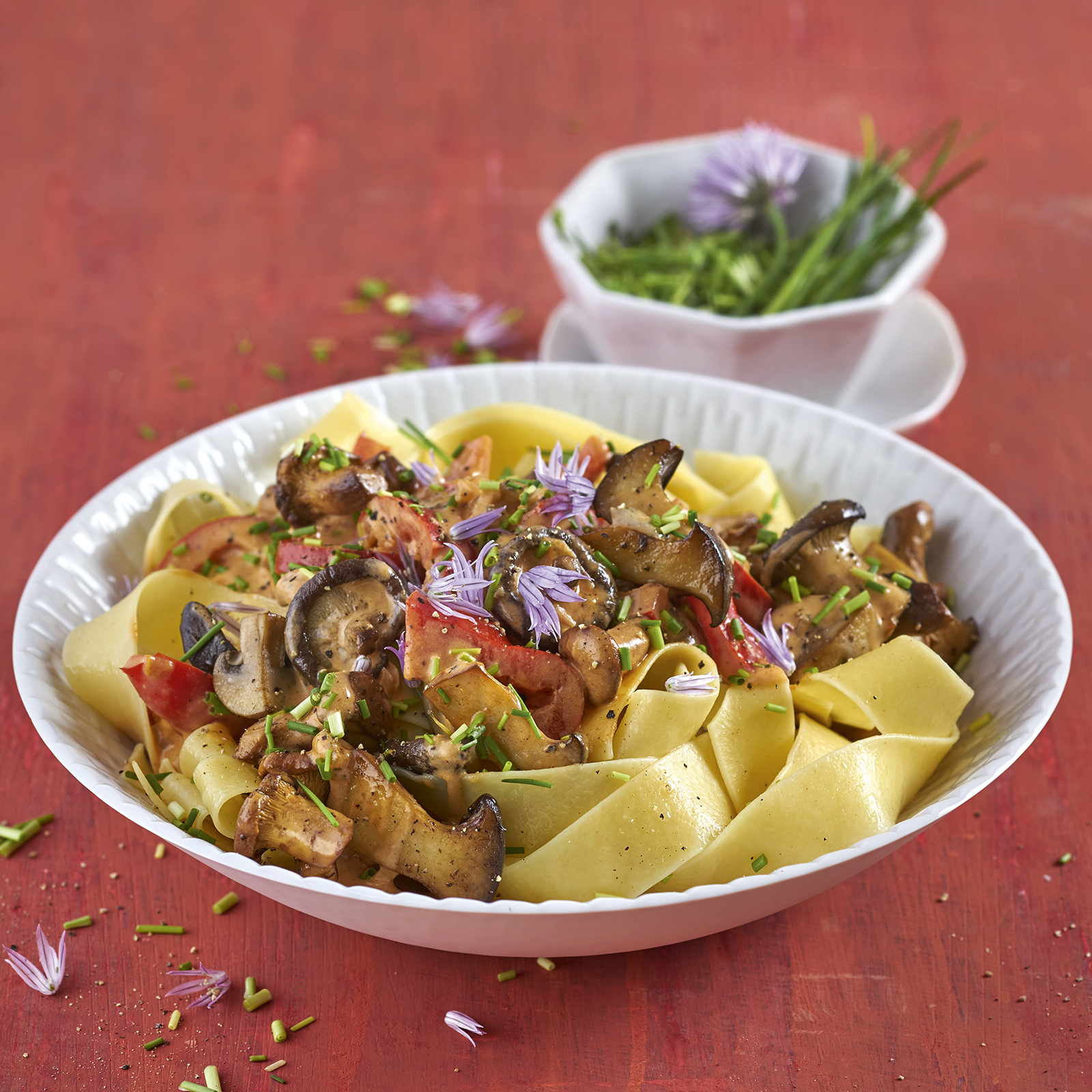 1 15 Pilz Stroganoff Mit Bandnudeln 1600x1600px