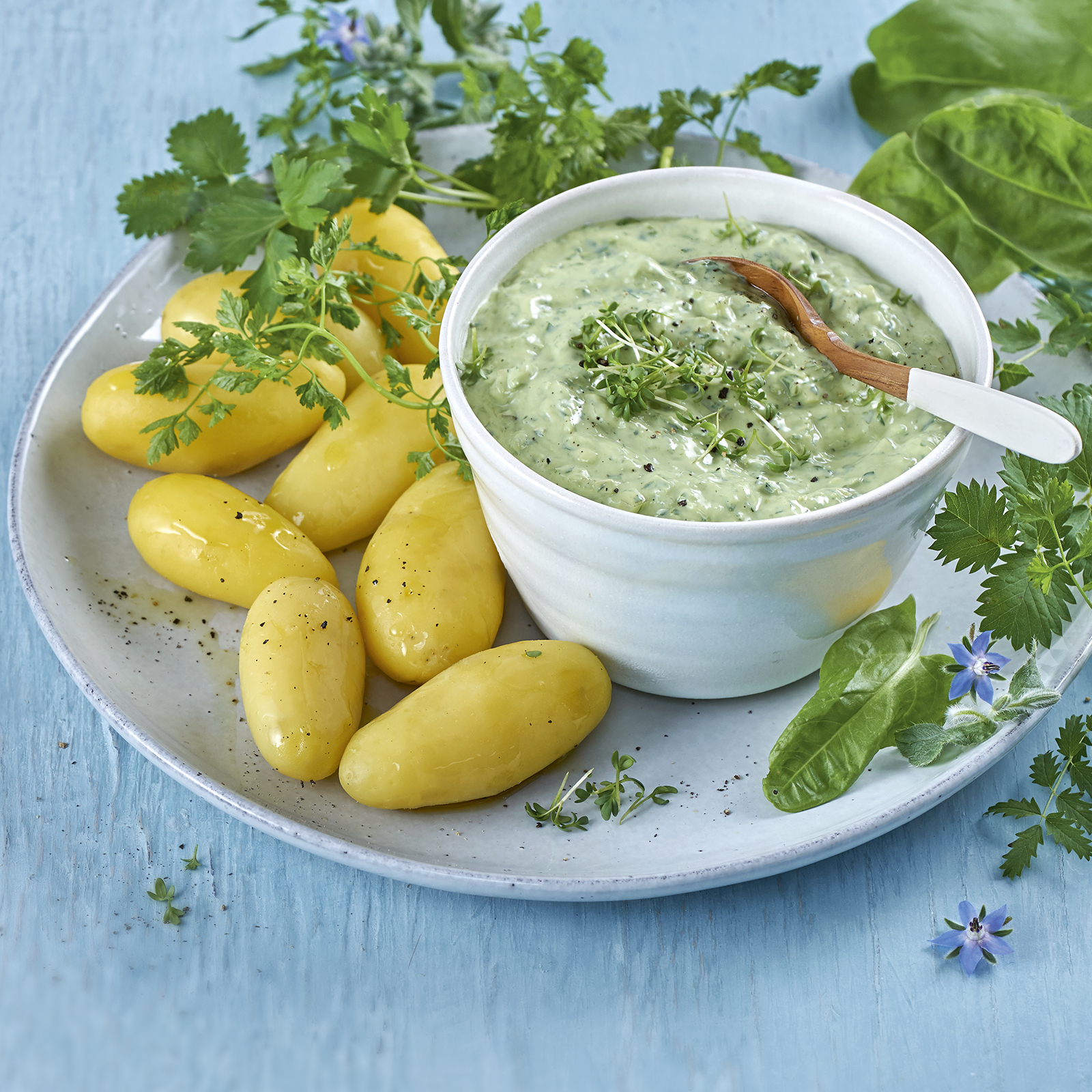 2 20 Vegane Frankfurter Gruene Sosse Mit Pellkartoffeln 1600x1600px