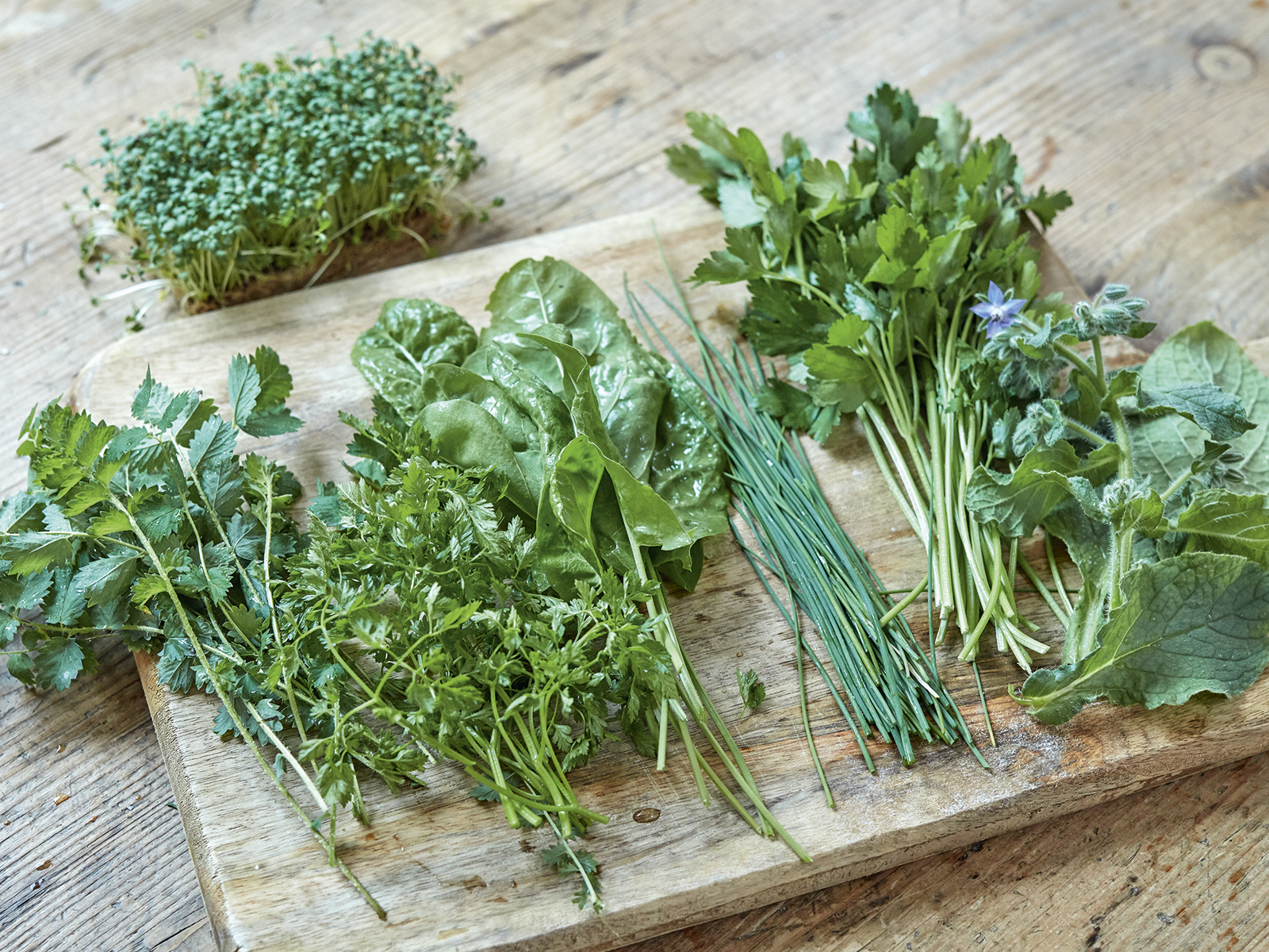 2 20 Vegane Frankfurter Gruene Sosse Mit Pellkartoffeln Step 1 1600x1200px