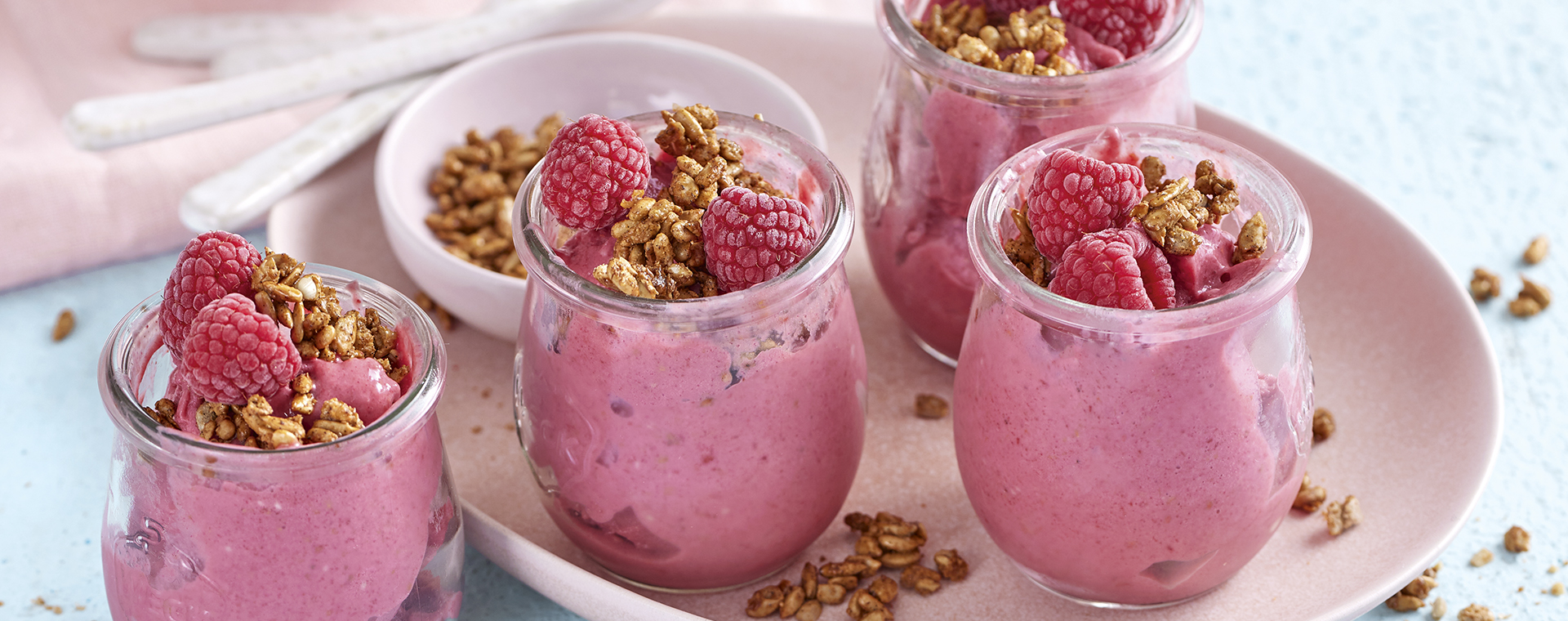 3 22 Himbeer Nicecream Mit Karamellisierten Sonnenblumenkernen 1920x760px