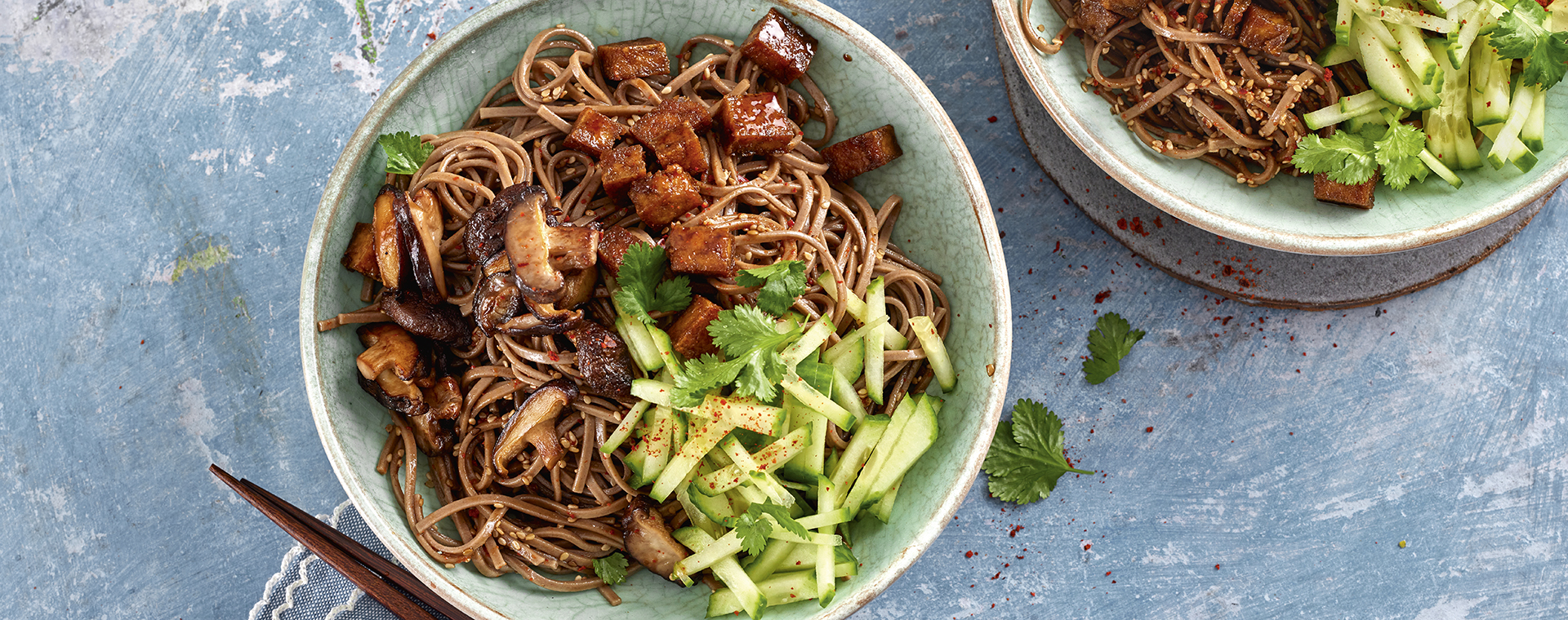 2 23 Kalte Nudeln Mit Gemuese Tofu Topping 1920x760px