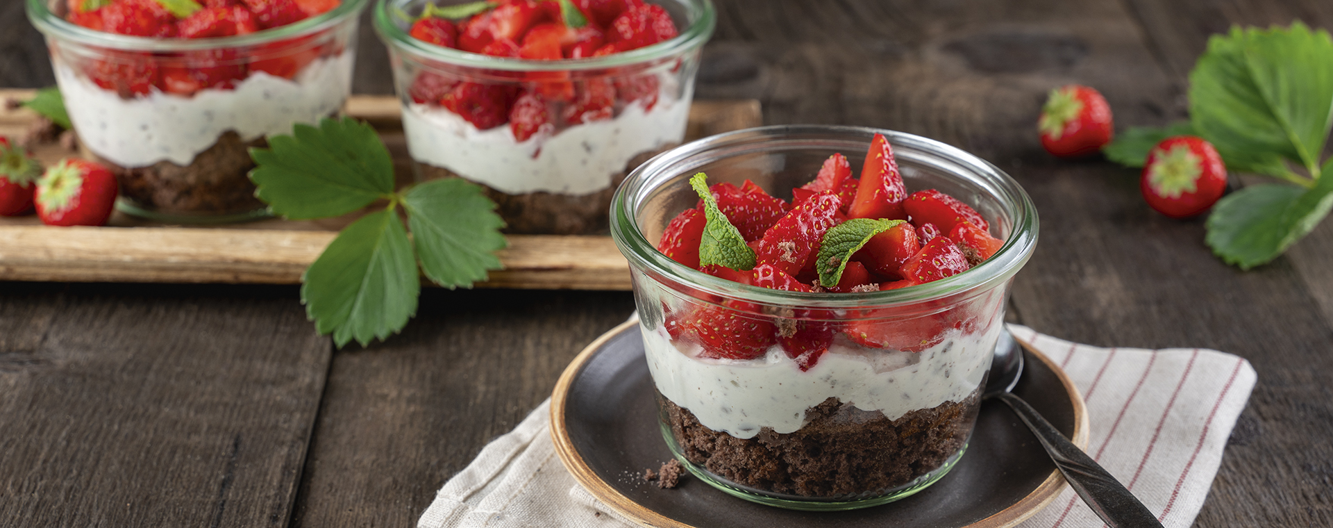 Schichtdessert im Glas mit Schokoladenbiskuit, heller Stracciatellacreme und frischen Erdbeeren, garniert mit Minze.