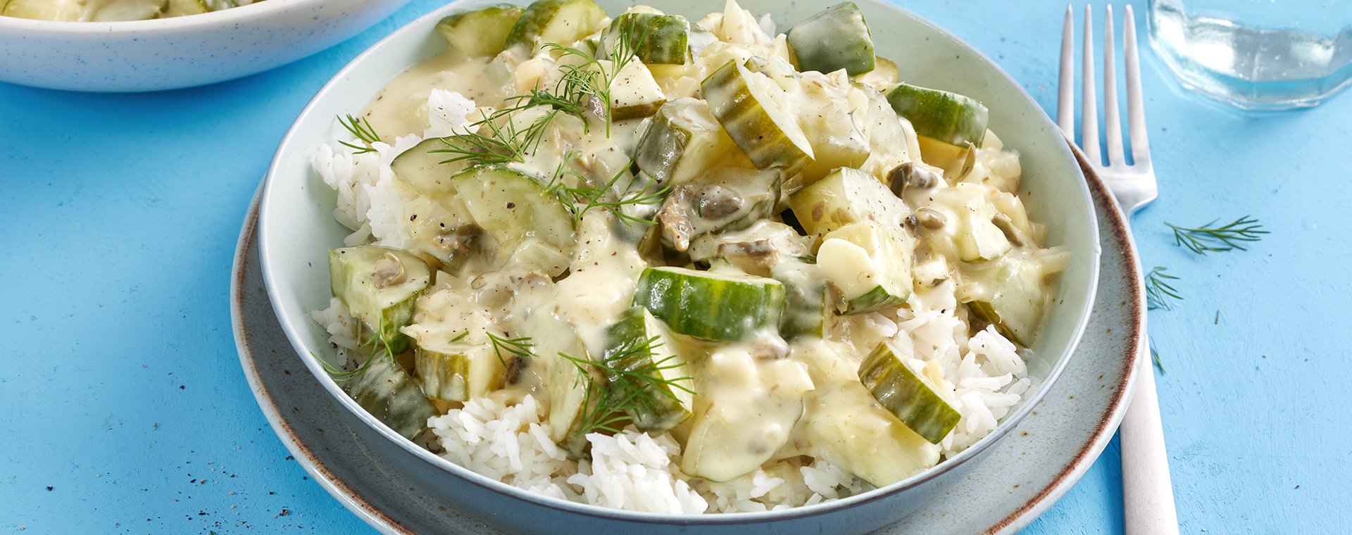 4 25 Wuerziges Gurkenragout Mit Reis 1920x760px