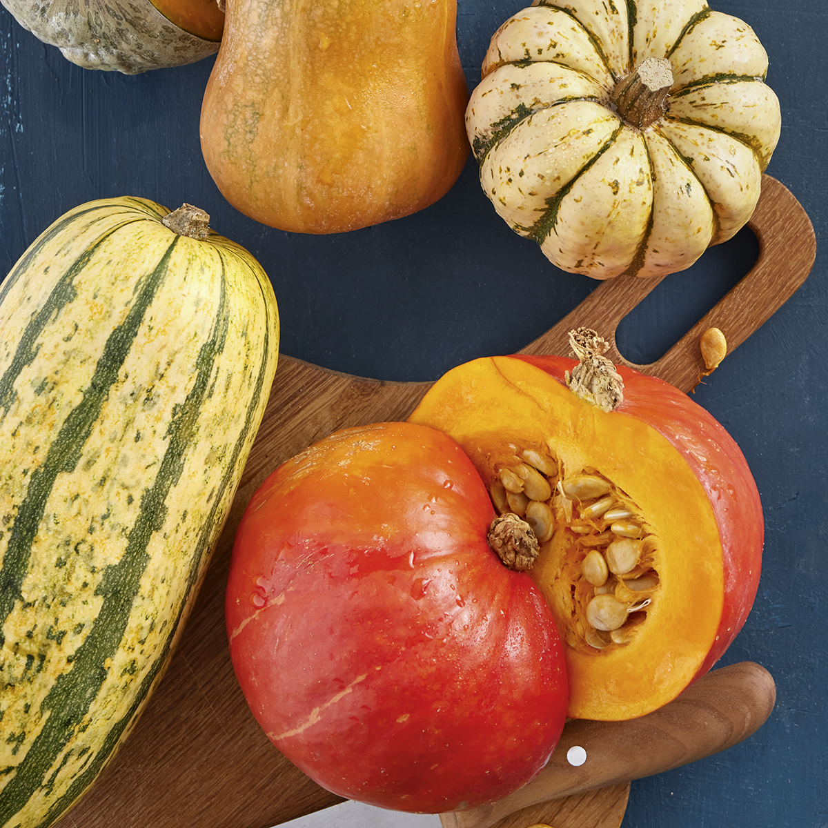 Kuerbis WK 5 23 Koestlich Vegetarisch Themen 1200x1200px